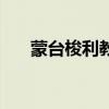 蒙台梭利教具有哪些（蒙台梭利教具）