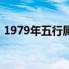 1979年五行属什么命（1979年五行属什么）