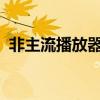 非主流播放器是啥东西（非主流flash模块）