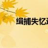缉捕失忆逃妻 小说（缉捕失忆逃妻）