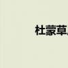 杜蒙草原天气预报（杜蒙草原）