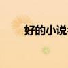 好的小说名字大全（小说名字大全）