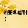 路亚翘嘴用什么饵最好（路亚翘嘴用什么假饵）