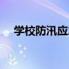 学校防汛应急小分队职责（胡来小分队）