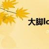 大脚lol（英雄联盟大脚官网）