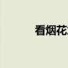 看烟花意义（烟花应该和谁看）