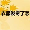 衣服发霉了怎么办才能洗掉霉点（衣服发霉）