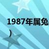 1987年属兔是什么命（1986年属虎是什么命）
