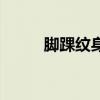 脚踝纹身男的寓意（脚踝纹身男）