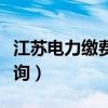 江苏电力缴费查询系统（江苏电力网上电费查询）
