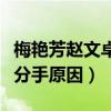 梅艳芳赵文卓分手原因是什么（梅艳芳赵文卓分手原因）