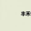 丰禾镇人口多少（丰禾镇）