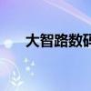 大智路数码港怎么走（大智路数码港）