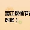 蒲江樱桃节在哪里（2020年蒲江樱桃节什么时候）