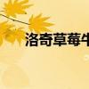 洛奇草莓牛奶好喝吗（洛奇草莓牛奶）
