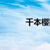 千本樱歌词日语（千本樱歌词）