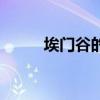 埃门谷的元素圣谷（埃门谷花苗）