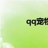 qq宠物入口（qq宠物客户端）