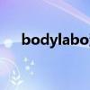 bodylabo洗发水多少钱（bodylabo）