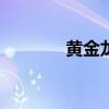 黄金龙121b（wow黄金龙）