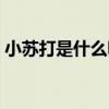 小苏打是什么味道（小苏打和苏打粉一样吗）