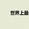 世界上最大的鼻屎（吃鼻屎的好处）