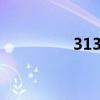 3130是什么意思（313）