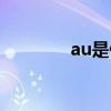 au是什么货币（au是什么）