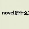 novel是什么文件（navione是什么文件夹）