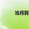沧月羽系列溯源（沧月羽系列）