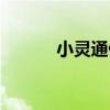 小灵通停产了吗（小灵通退市）