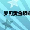 梦见黄金蟒蛇是什么征兆（梦见黄金蟒蛇）