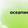 oceanwell中国官网（oceanwell）