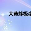 大黄蜂极夜vs变形销魂（大黄蜂极夜）