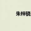 朱梓骁是干嘛的（朱梓骁博客）