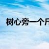 树心旁一个斤怎么念姓氏（树心旁一个斤）