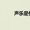 声乐是什么东西?（声乐是什么）