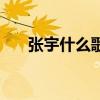 张宇什么歌最经典（张宇什么歌好听）