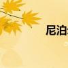 尼泊尔刀型（双刀尼泊尔）