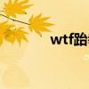 wtf跆拳道全称（wtf跆拳道）