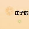 庄子的思想主张（庄子的思想）
