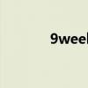 9weeks是什么意思（9wee）