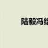 陆毅冯绍峰林心如（陆毅冯绍峰）
