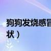 狗狗发烧感冒吃什么药好得快（小狗发烧的症状）