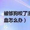 被够狗咬了没出血怎么办呀（被够狗咬了没出血怎么办）