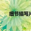 细节描写片段150字（细节描写片段）