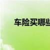 车险买哪些险种最划算（车险买哪些）