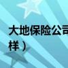 大地保险公司怎么样入职（大地保险公司怎么样）