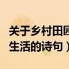 关于乡村田园生活的诗句小学（关于乡村田园生活的诗句）