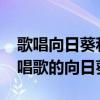 歌唱向日葵和普通向日葵有什么区别（wow唱歌的向日葵）